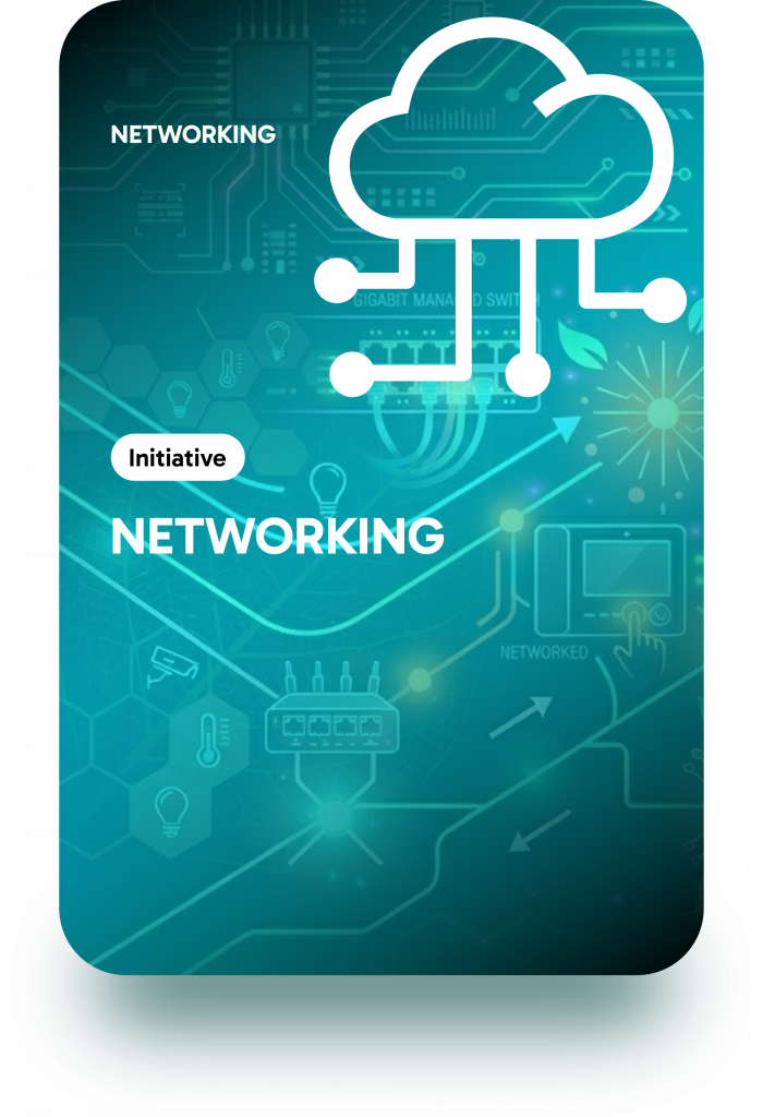 networking card